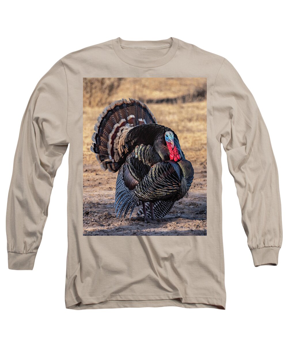 Bird Long Sleeve T-Shirt featuring the photograph Tom by Jody Partin