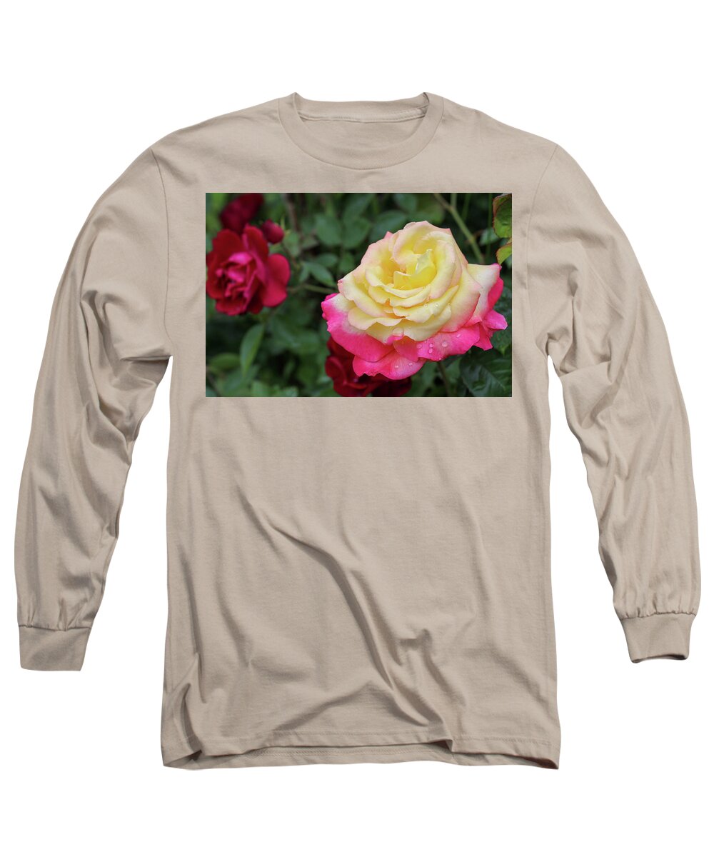 Rose Long Sleeve T-Shirt featuring the photograph Two Tone Beauty by Mary Anne Delgado
