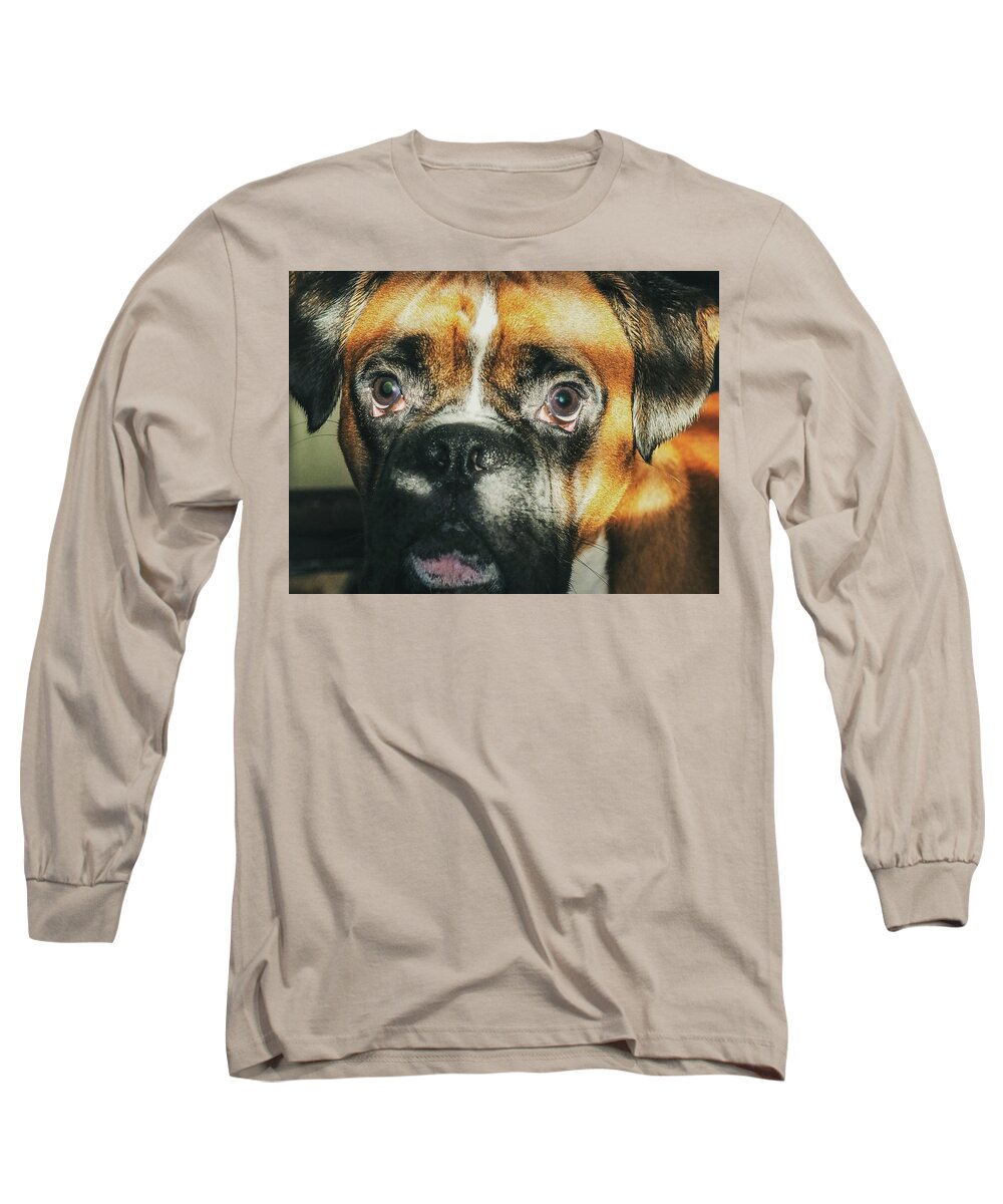 Dog Long Sleeve T-Shirt featuring the photograph Where'd Everybody Go by CWinslow Shafer