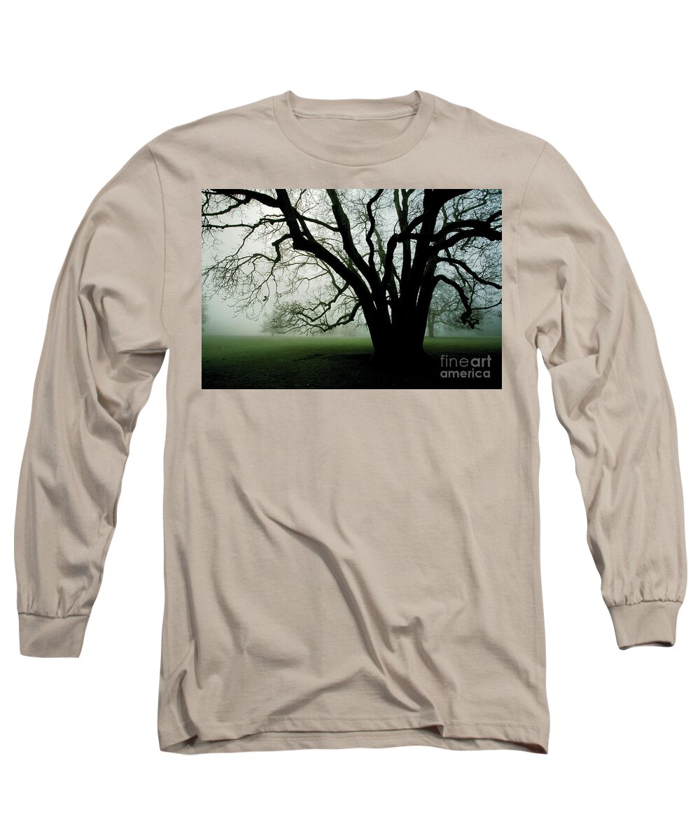 Fog Long Sleeve T-Shirt featuring the photograph White Oak in Fog by Rich Collins
