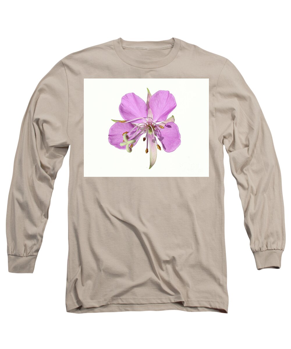 Close Up Long Sleeve T-Shirt featuring the photograph wildflowers pink fireweed Epilobium angustifolium by Robert C Paulson Jr