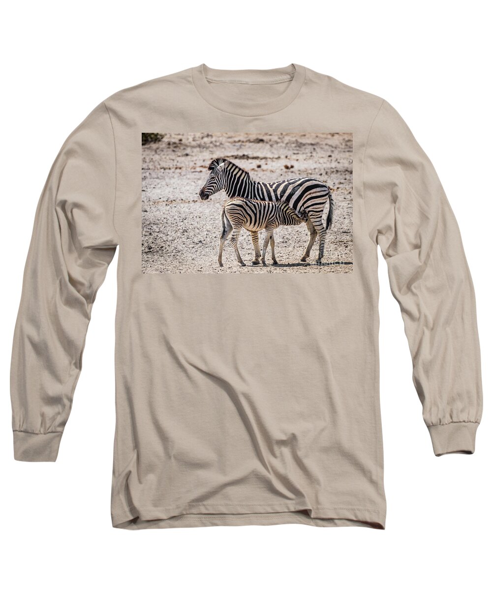 Zebra Long Sleeve T-Shirt featuring the photograph Zebra foal nursing, Namibia by Lyl Dil Creations