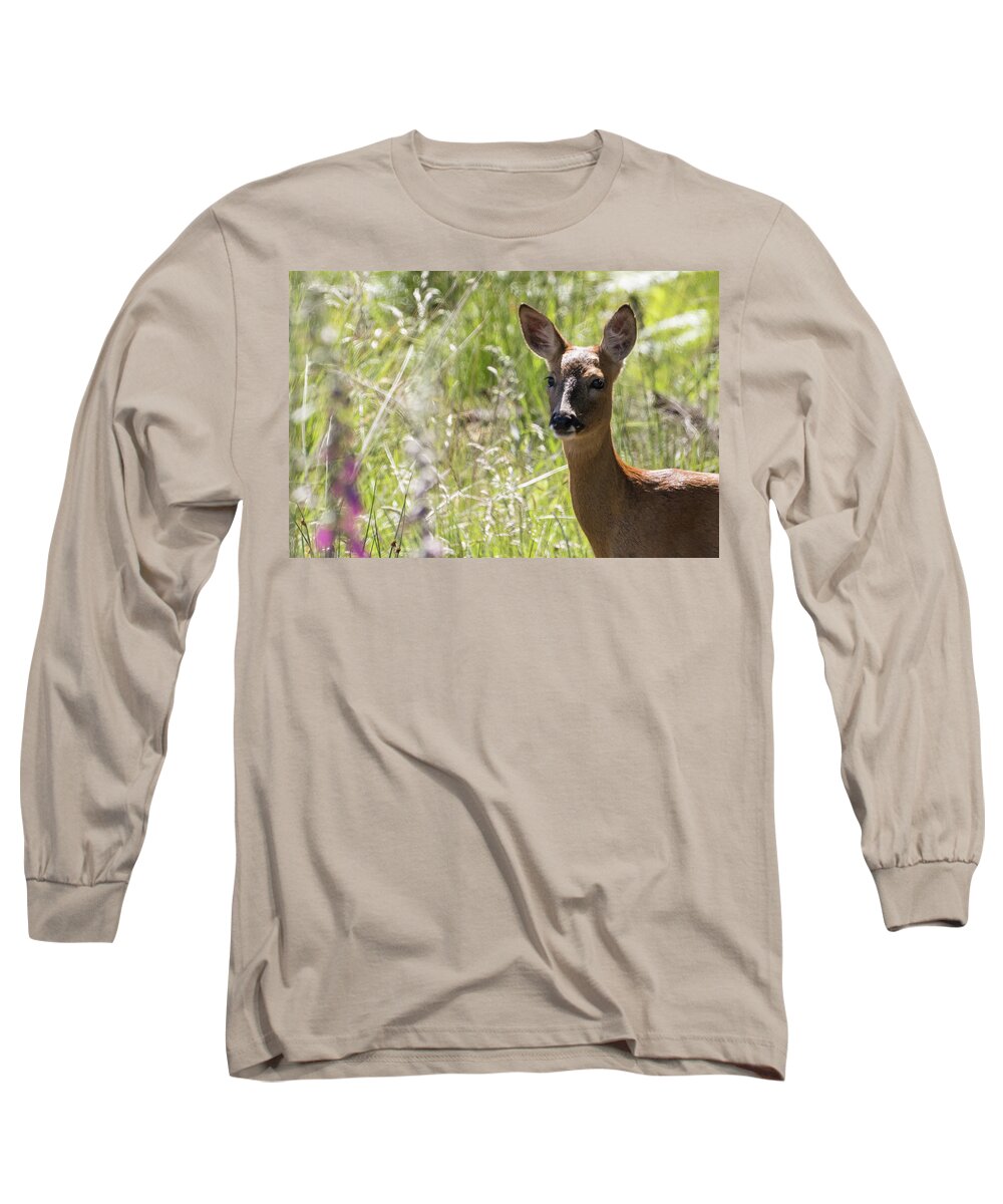 100-400mmlmk2 Long Sleeve T-Shirt featuring the photograph Roe Deer #1 by Wendy Cooper