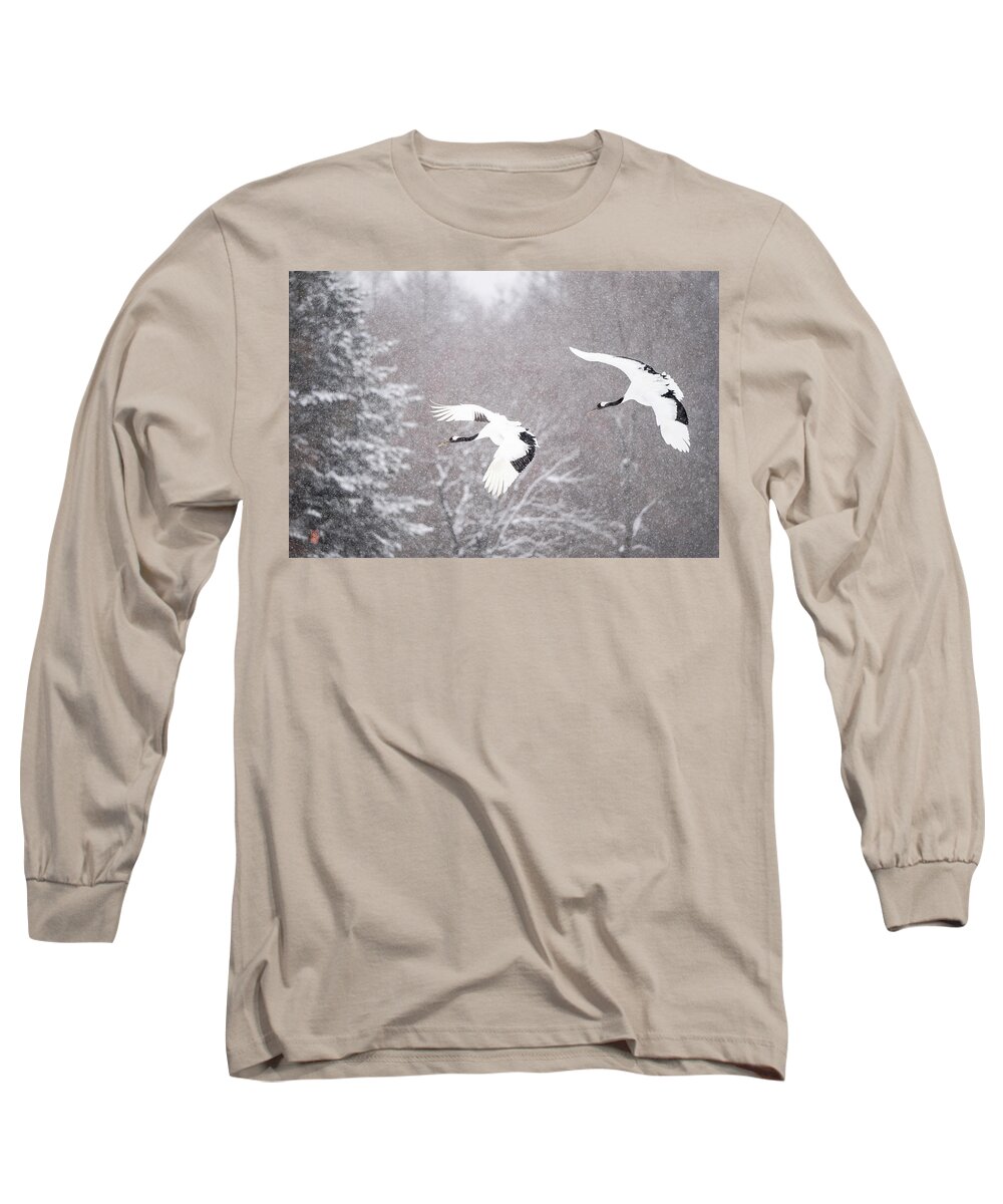 Snow Long Sleeve T-Shirt featuring the photograph Tancho in snow #1 by Yoshiki Nakamura