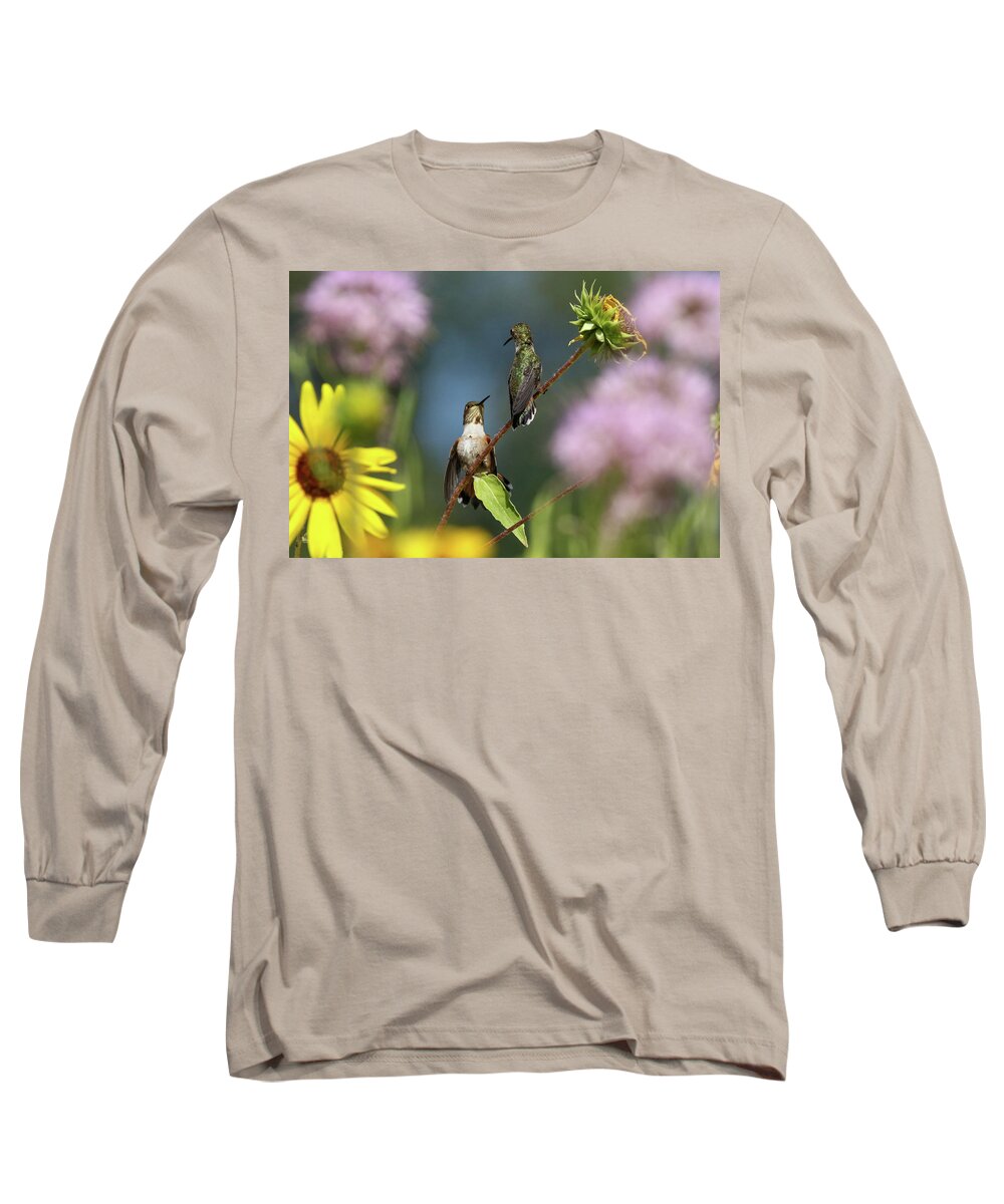 Hummingbird Long Sleeve T-Shirt featuring the photograph 2 Hummingbirds in Wildflowers II by Julie Argyle
