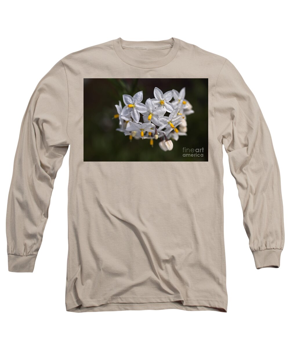 Solanum Jasminoides Long Sleeve T-Shirt featuring the photograph Potato Vine In Flower #2 by Joy Watson