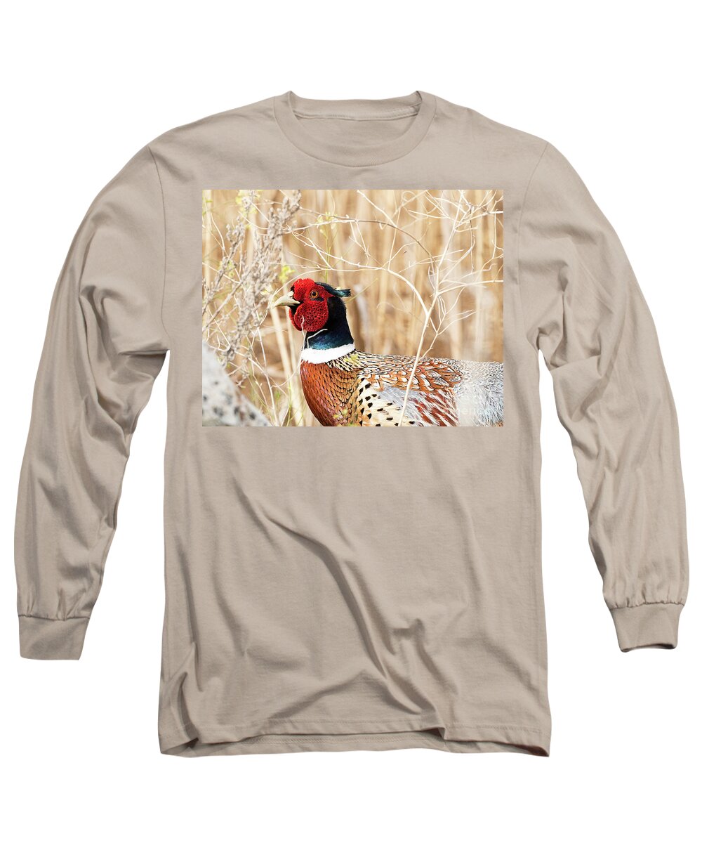 Bird Long Sleeve T-Shirt featuring the photograph Ring-necked Pheasant #20 by Dennis Hammer