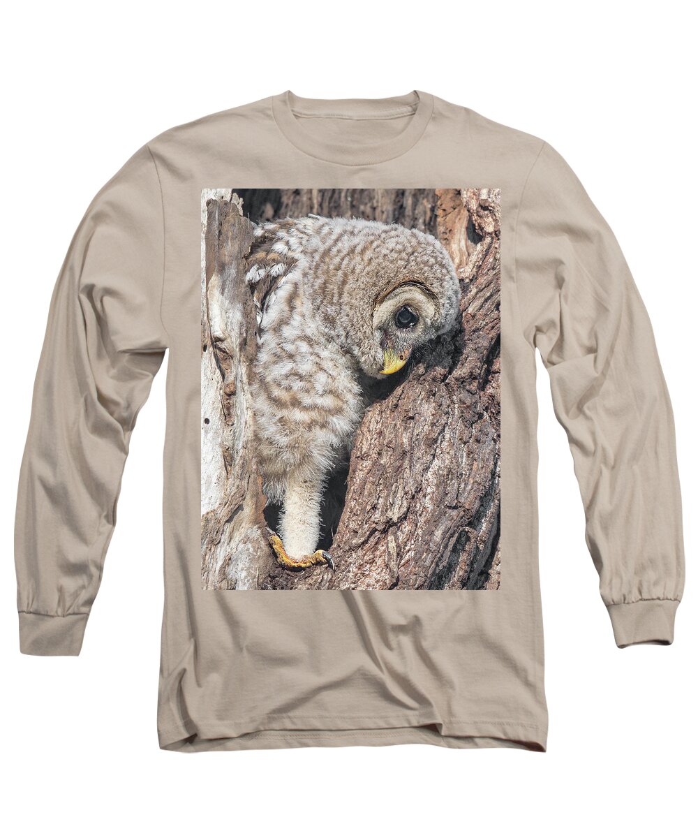 Baby Barred Owls Long Sleeve T-Shirt featuring the photograph All Systems Go - Initiating Fledging Sequence by Puttaswamy Ravishankar