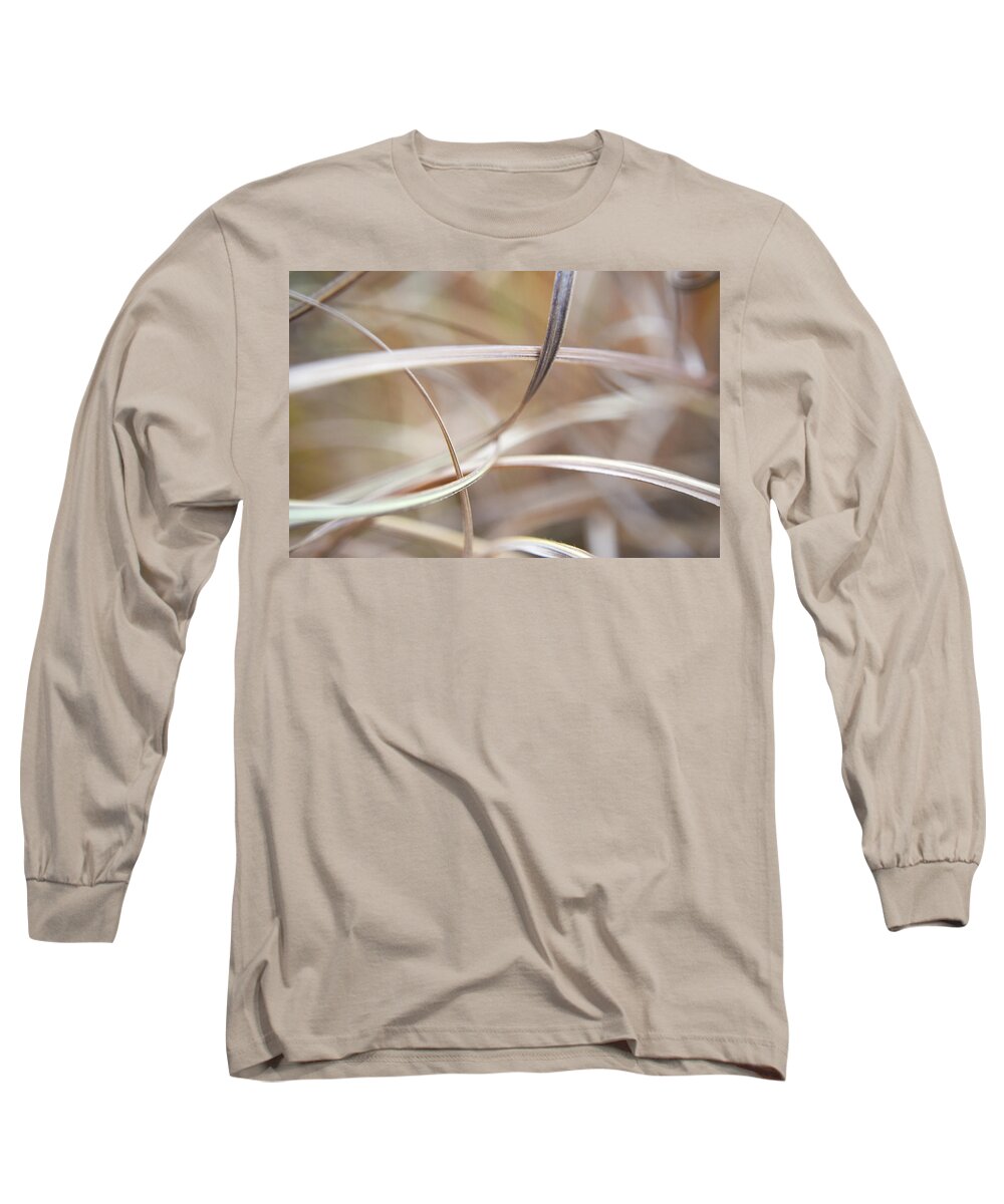 Kirkwood Long Sleeve T-Shirt featuring the photograph Winter Grasses #4 by Curtis Krusie