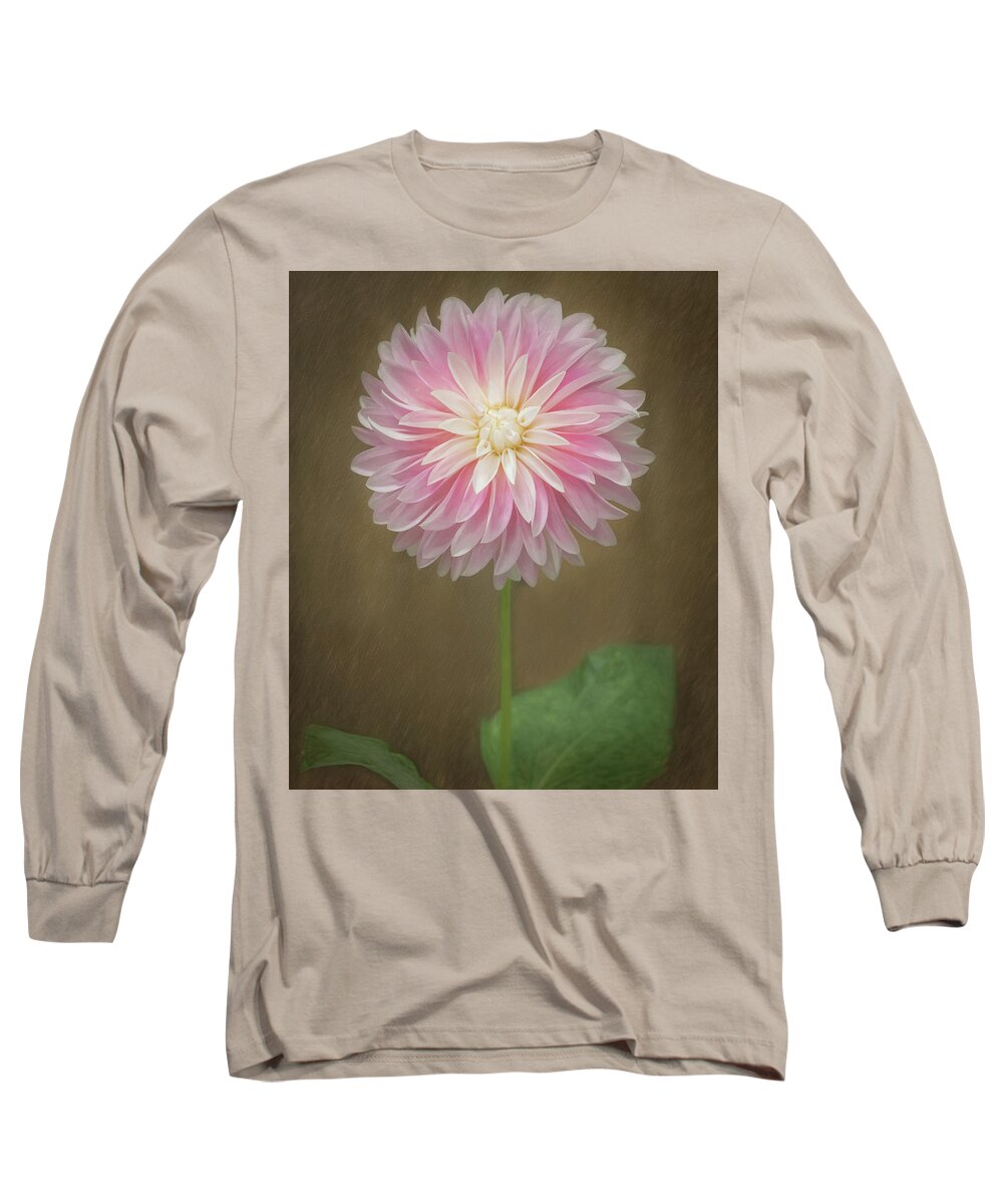Pink Long Sleeve T-Shirt featuring the photograph A Dainty Dahlia by Sylvia Goldkranz