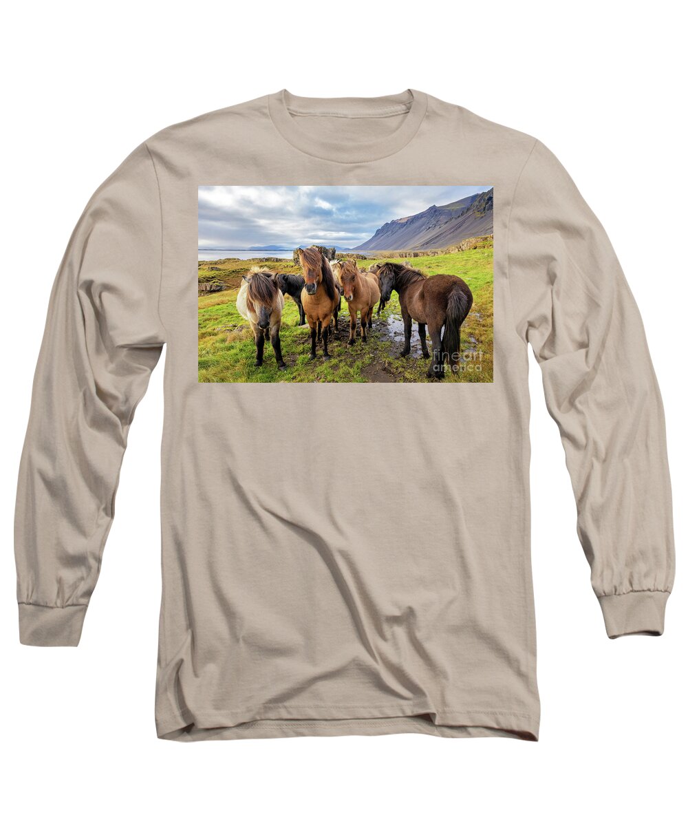 Horse Long Sleeve T-Shirt featuring the photograph A group of Icelandic horses in a rural setting with sea and moun by Jane Rix