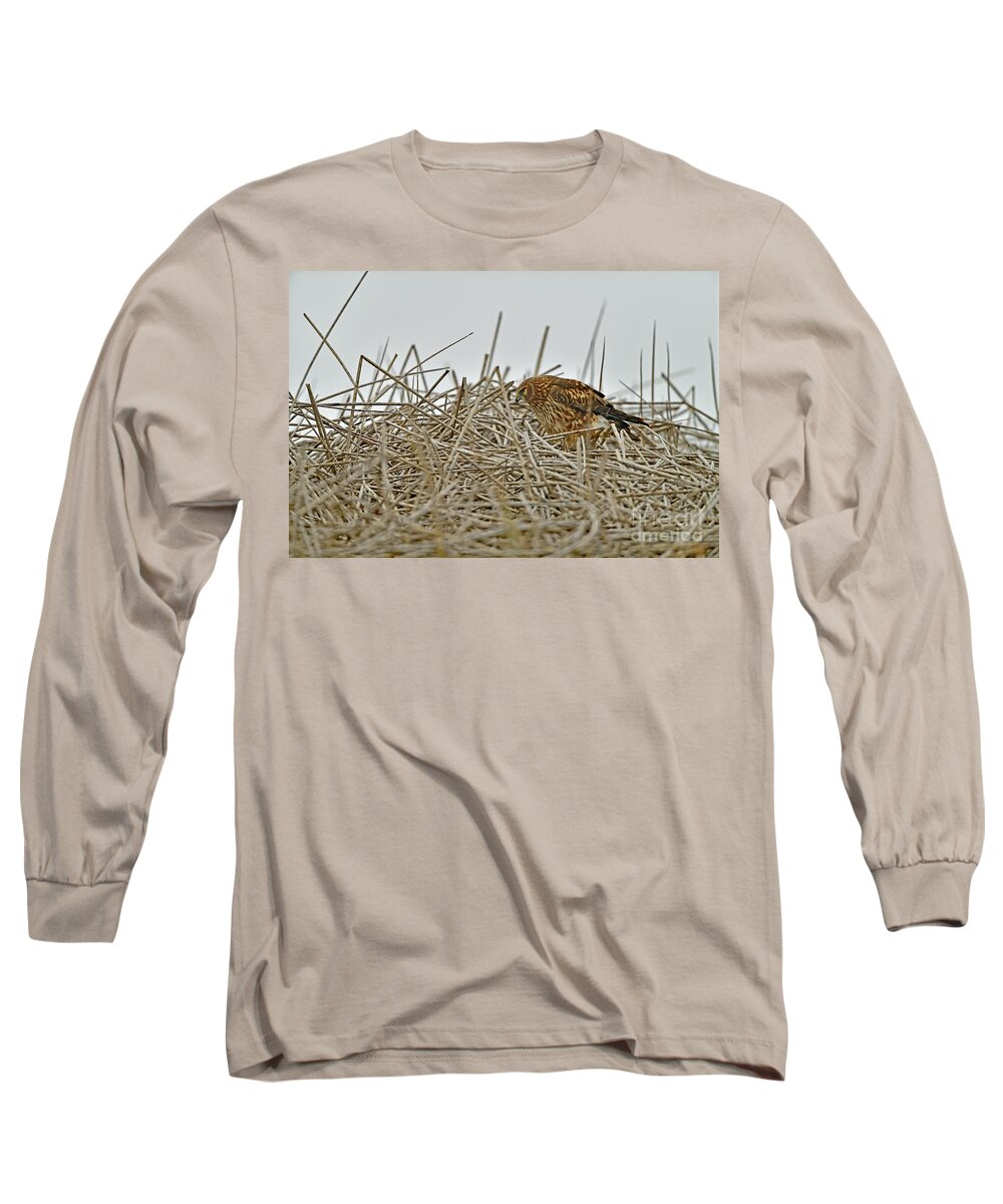 Hawk Long Sleeve T-Shirt featuring the photograph A Hawk by Amazing Action Photo Video