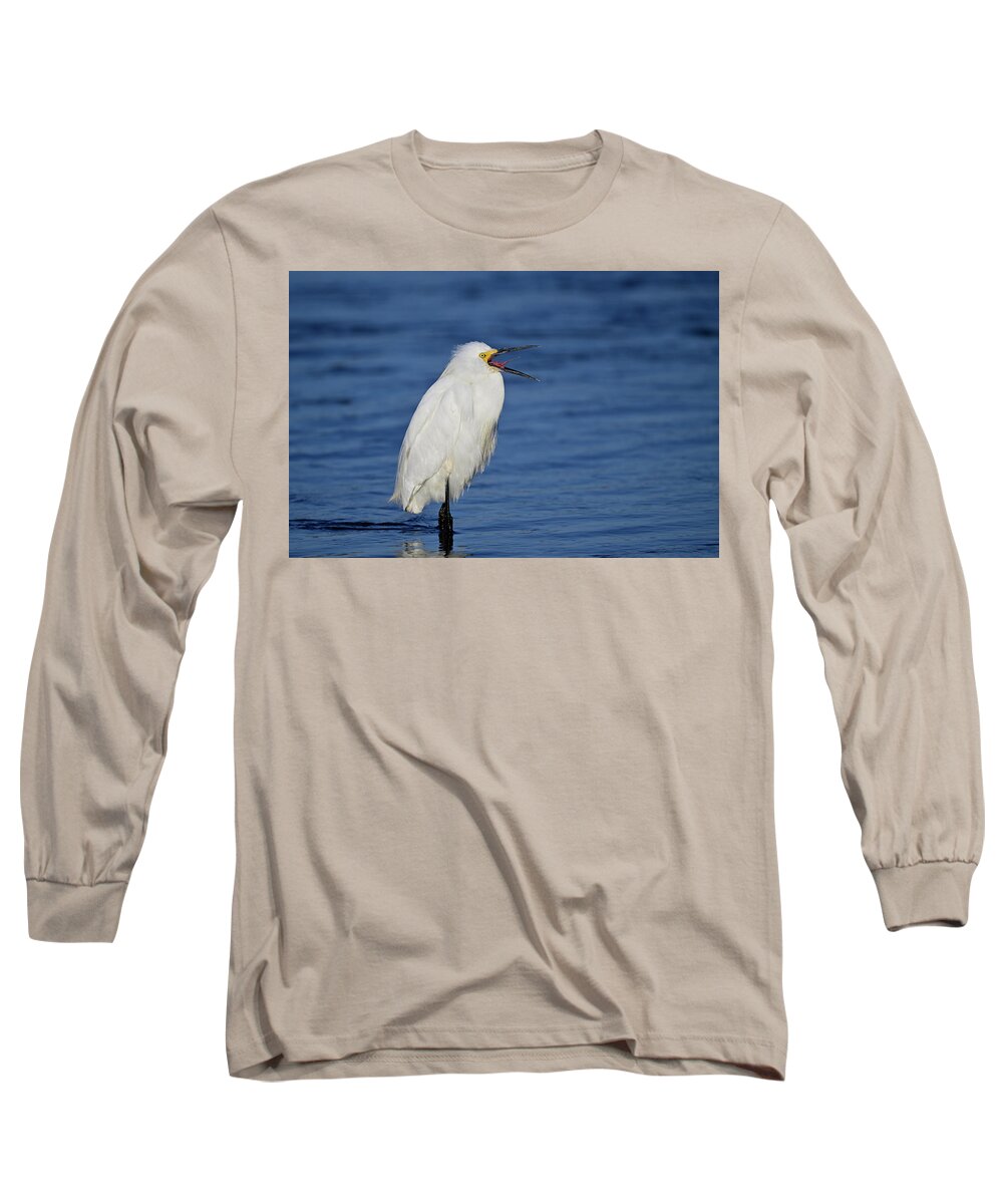  Egretta Thula Long Sleeve T-Shirt featuring the photograph A Very Hungry Snowy Egret - Egretta thula by Amazing Action Photo Video