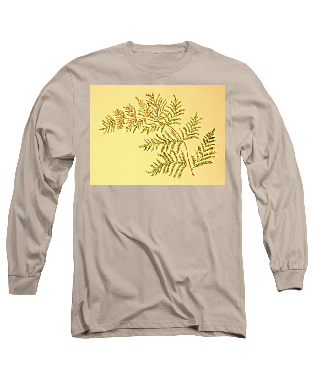 Autumn Long Sleeve T-Shirt featuring the drawing Autumn Fern by Karen Nice-Webb