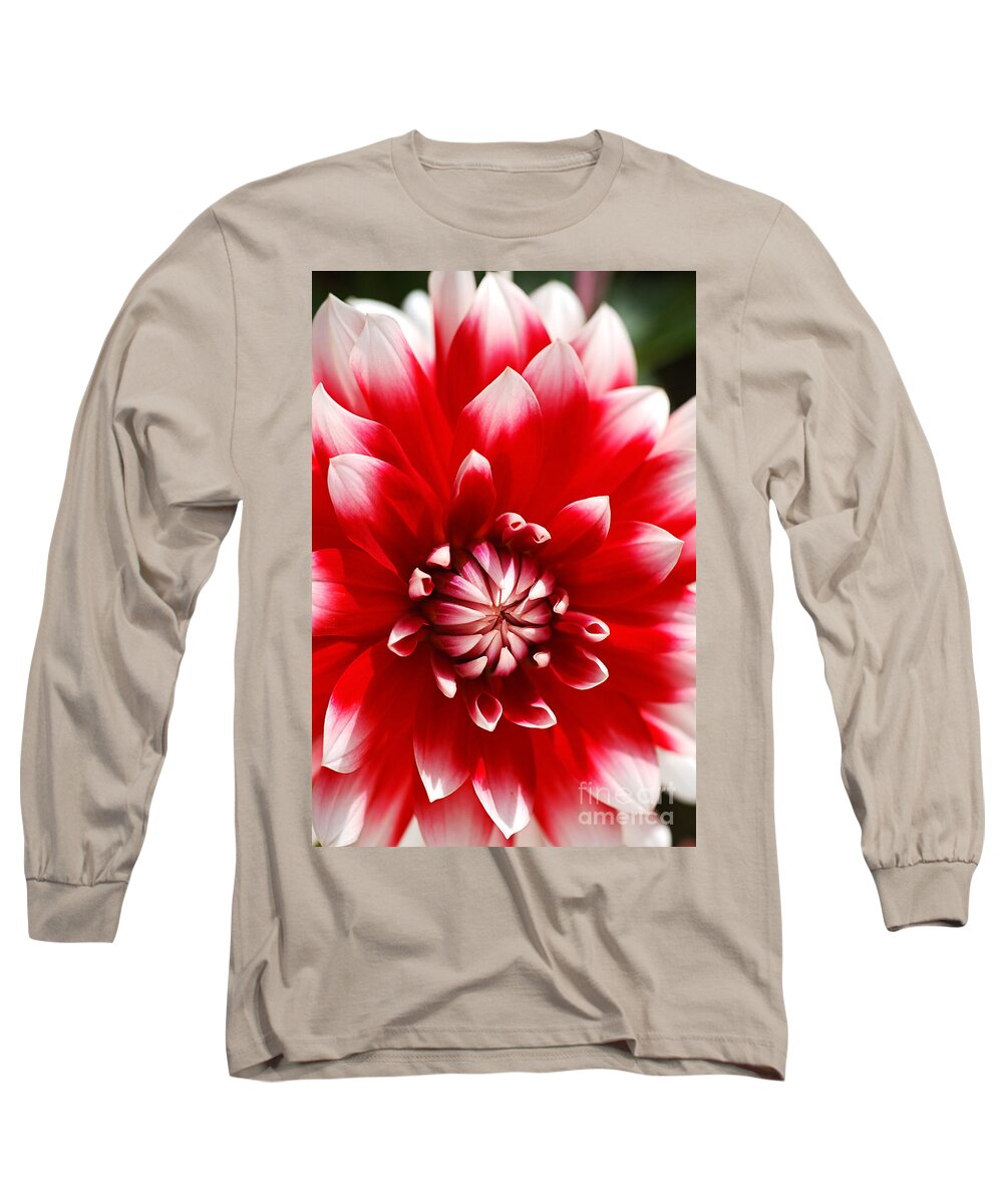 Barbershop Flower Long Sleeve T-Shirt featuring the photograph Bould Dahlia Red White by Joy Watson