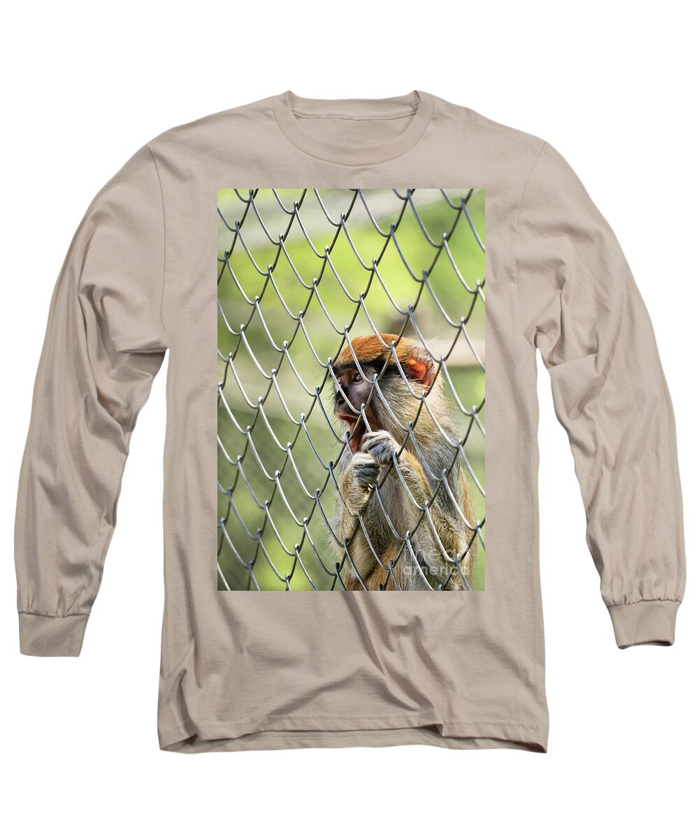 Monkey Long Sleeve T-Shirt featuring the photograph Caged monkey by Mendelex Photography