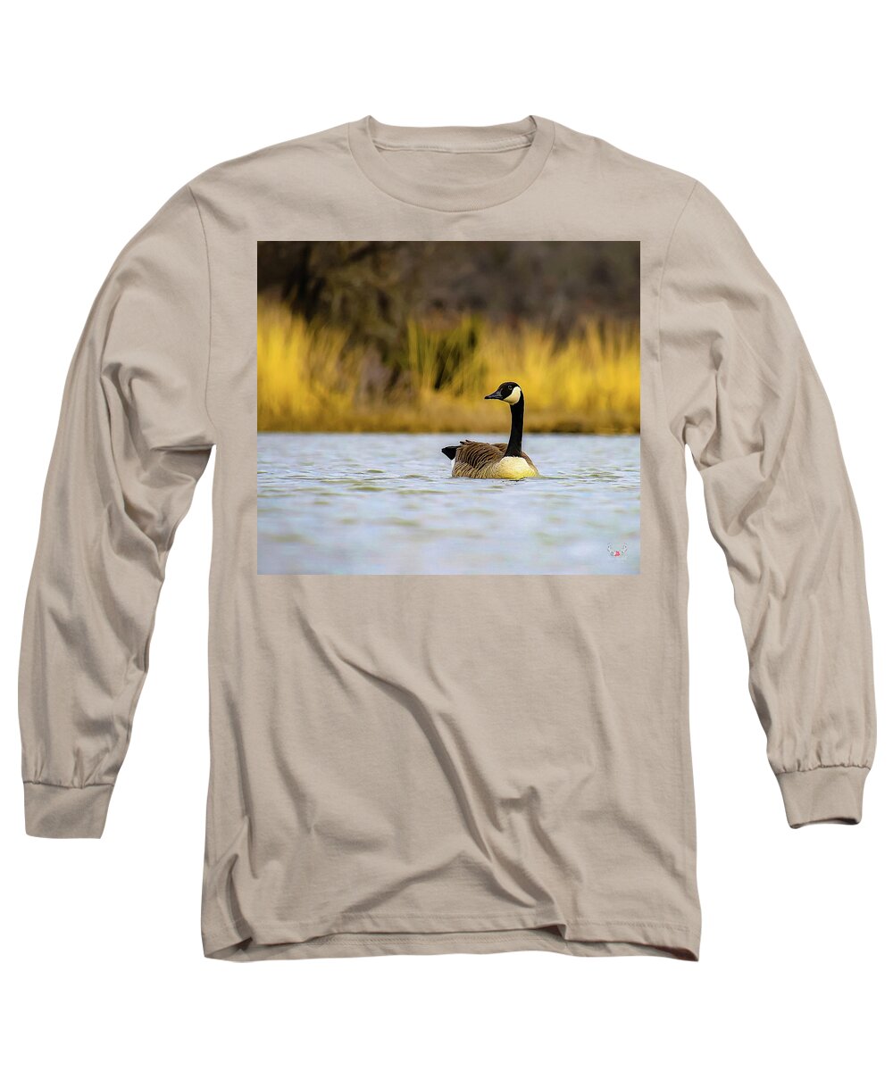 Canadagoose Long Sleeve T-Shirt featuring the photograph Canada Goose by Pam Rendall