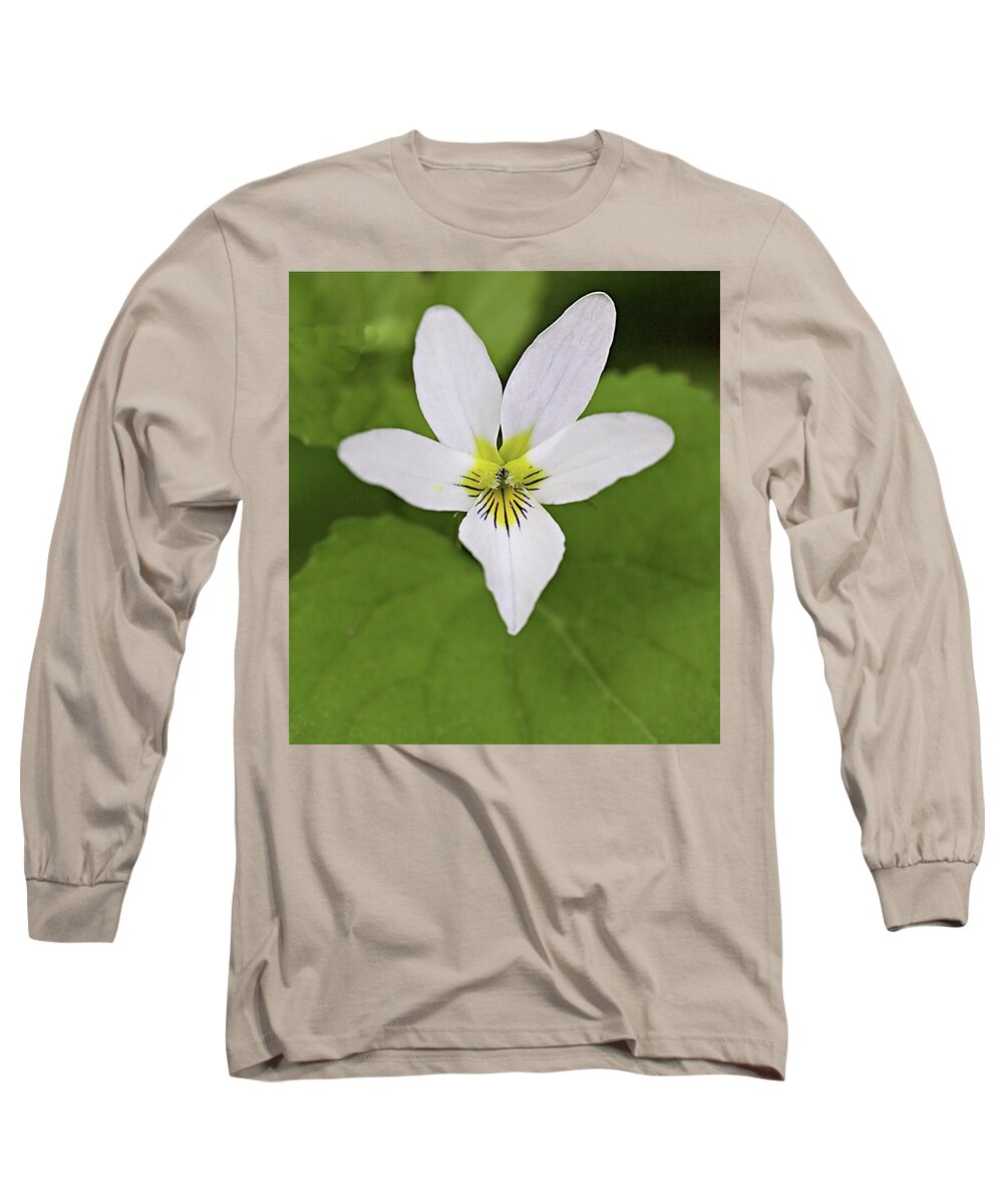 Canada Violet Long Sleeve T-Shirt featuring the photograph Canada Violet by Bob Falcone
