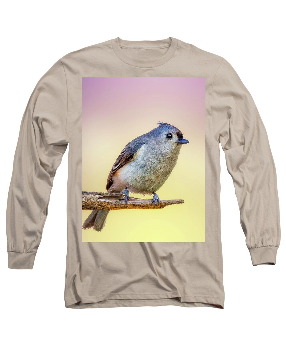 Bird Long Sleeve T-Shirt featuring the photograph Cheerful Tit by Bill and Linda Tiepelman