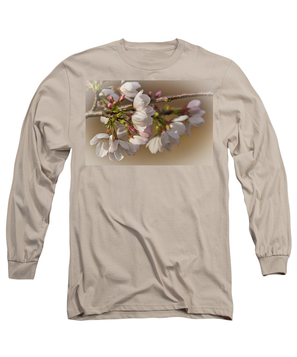 Cherry Blossoms Long Sleeve T-Shirt featuring the photograph Cherry Blossoms by Dorothy Cunningham