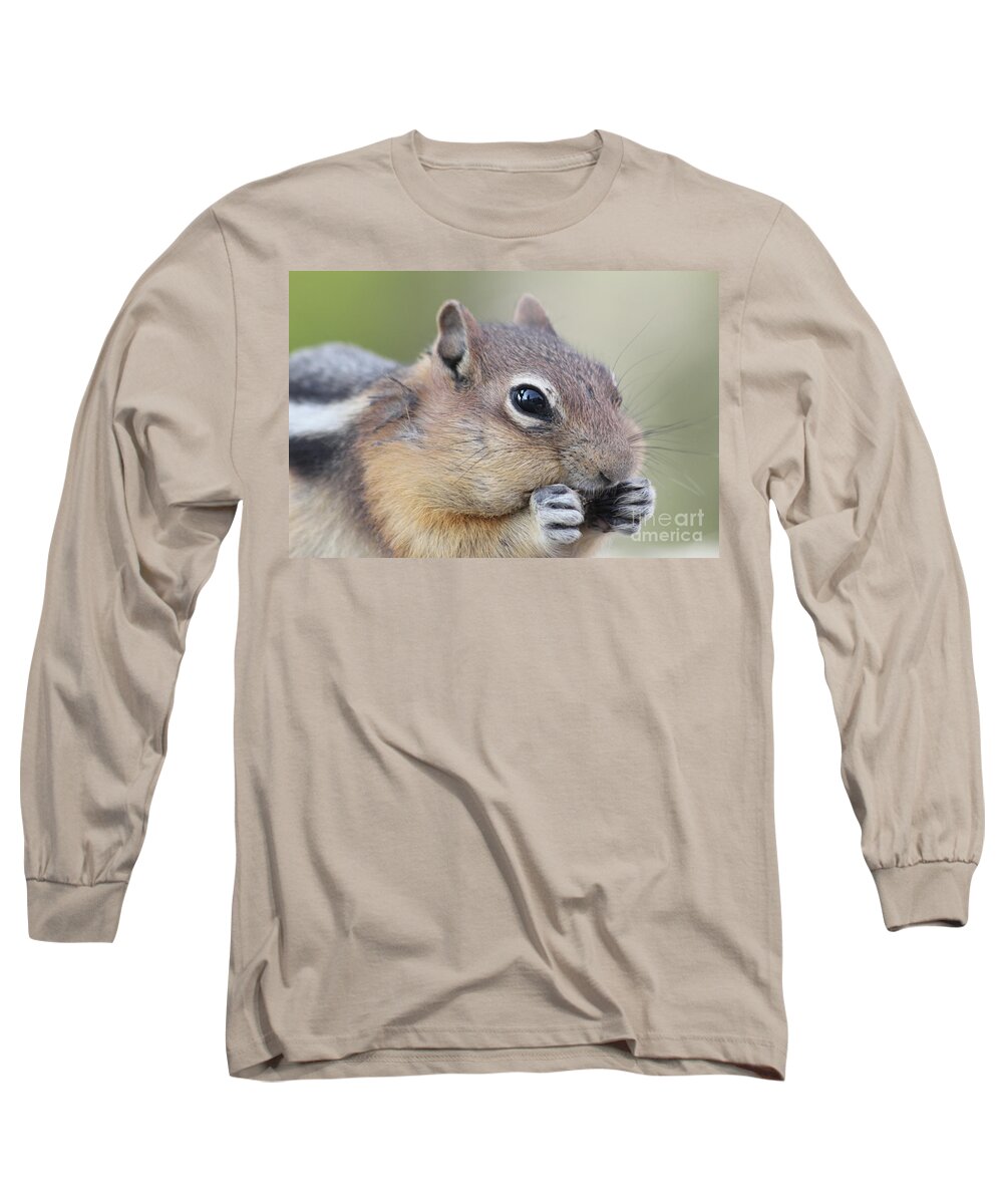 Chipmunk Long Sleeve T-Shirt featuring the photograph Chipmunk by Adrienne Franklin