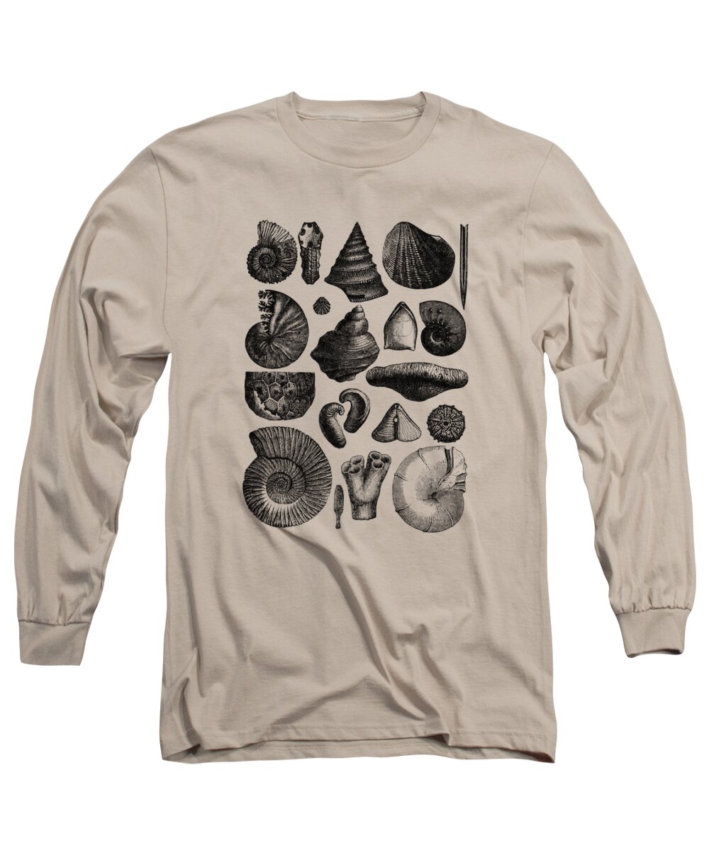 Sea Shell Long Sleeve T-Shirt featuring the digital art Collection Of Seashells by Madame Memento