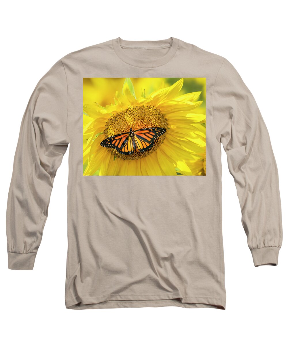 Butterfly Long Sleeve T-Shirt featuring the photograph Comfort by Ray Silva