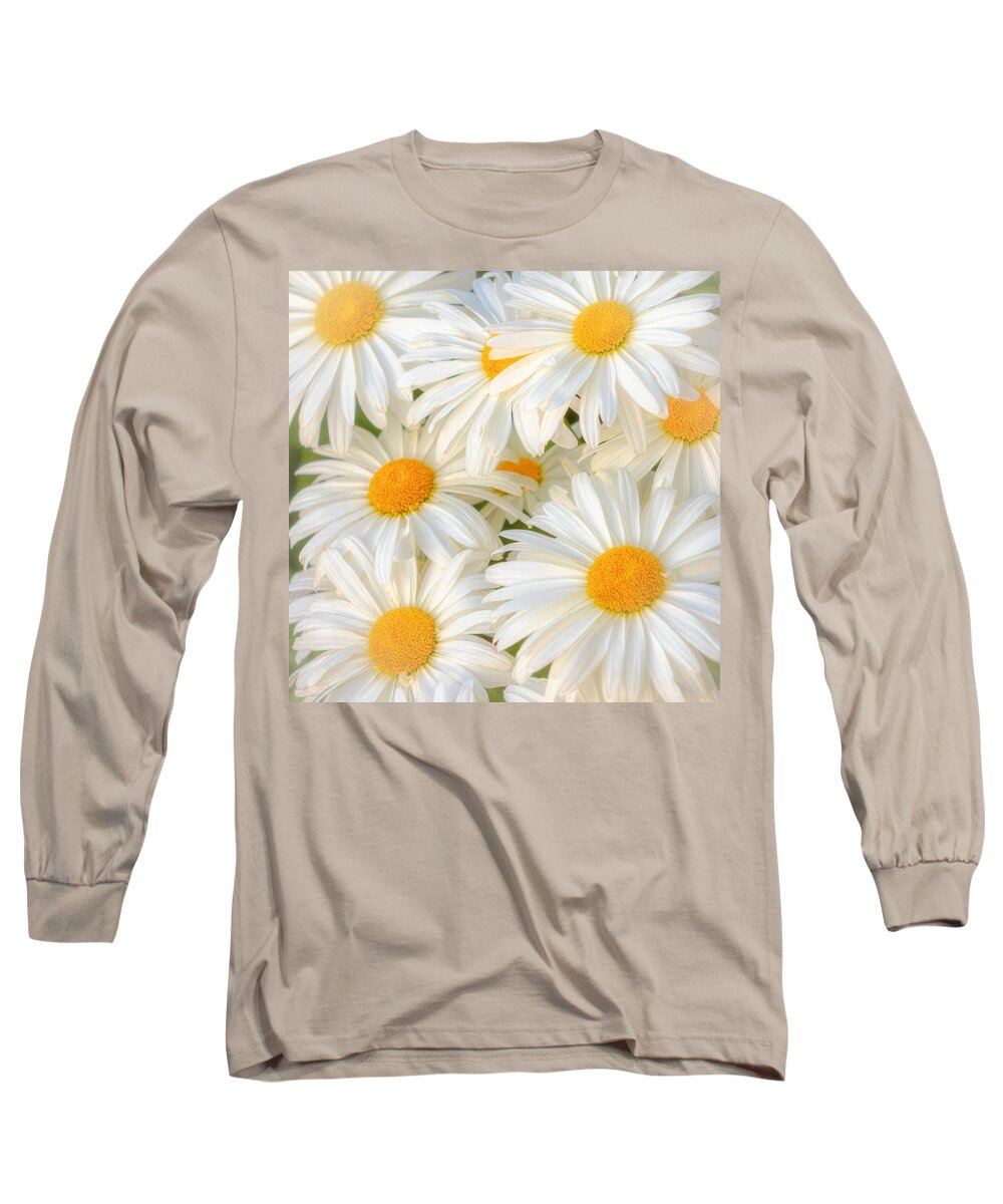 Daisies Long Sleeve T-Shirt featuring the photograph Daisies in a Square by Rod Best