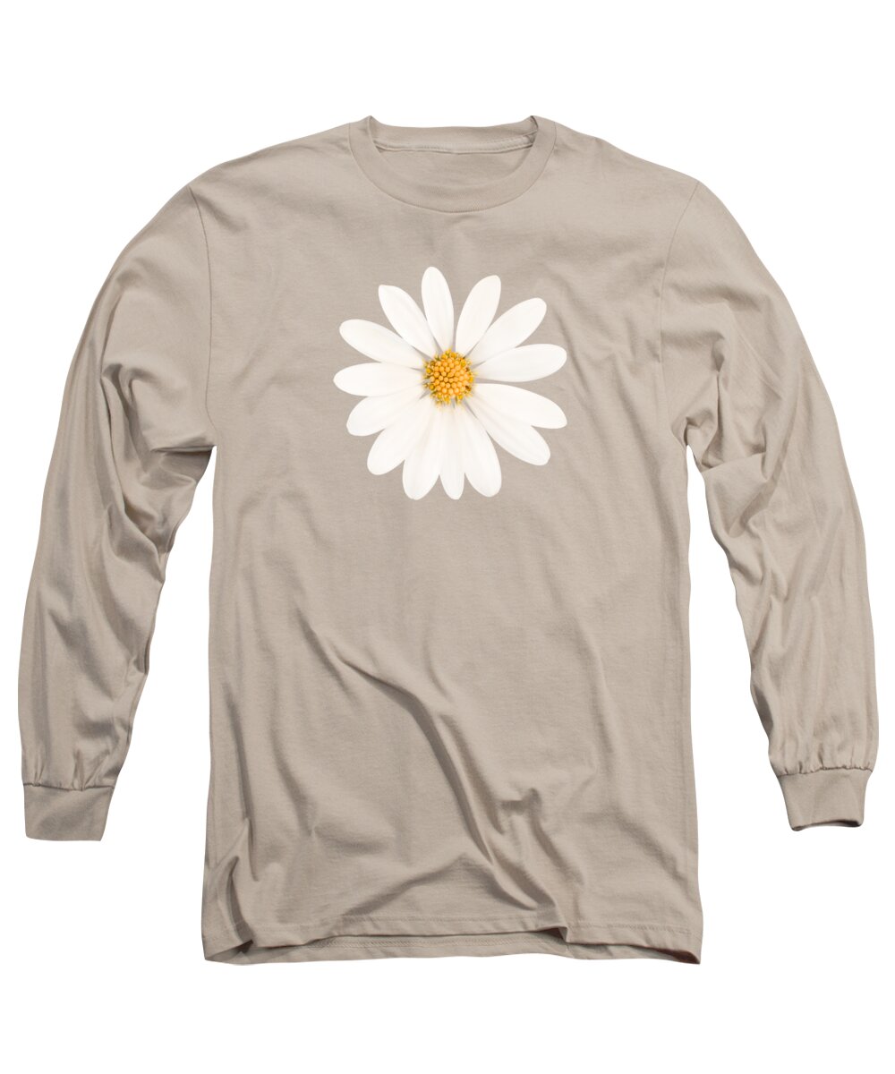 Daisy Long Sleeve T-Shirt featuring the photograph Daisy on pink by Delphimages Photo Creations
