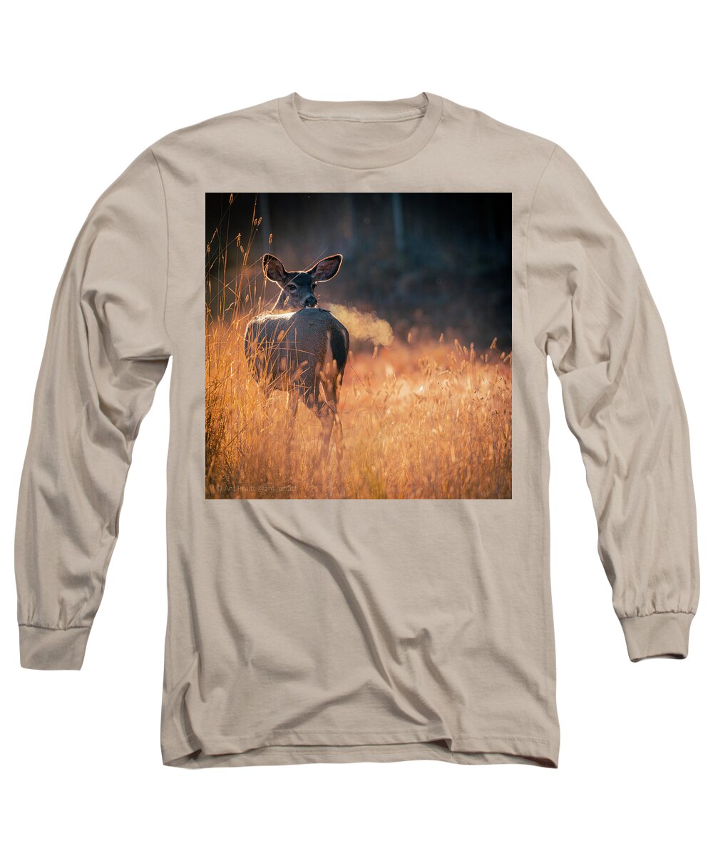 October Long Sleeve T-Shirt featuring the photograph Deer Morning by Ant Pruitt