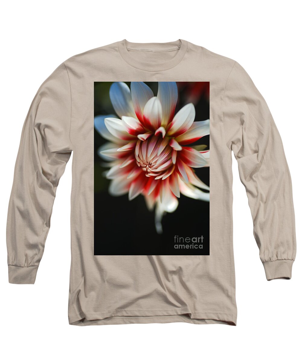 Barbershop Flower Long Sleeve T-Shirt featuring the photograph Dreamy Dahlia Fire And Ice by Joy Watson