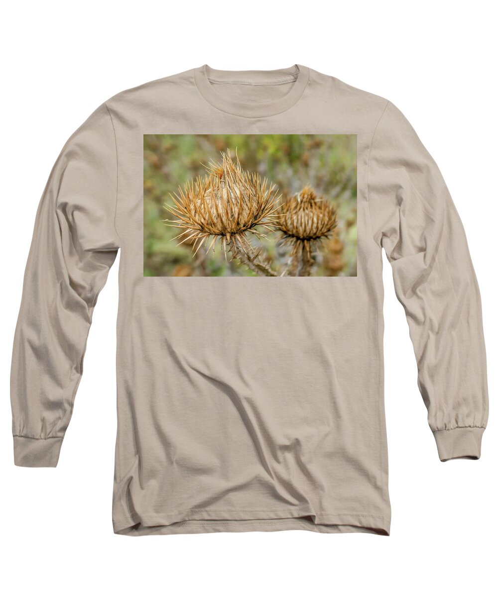 Dry Flower Long Sleeve T-Shirt featuring the digital art Dry flower by Pal Szeplaky