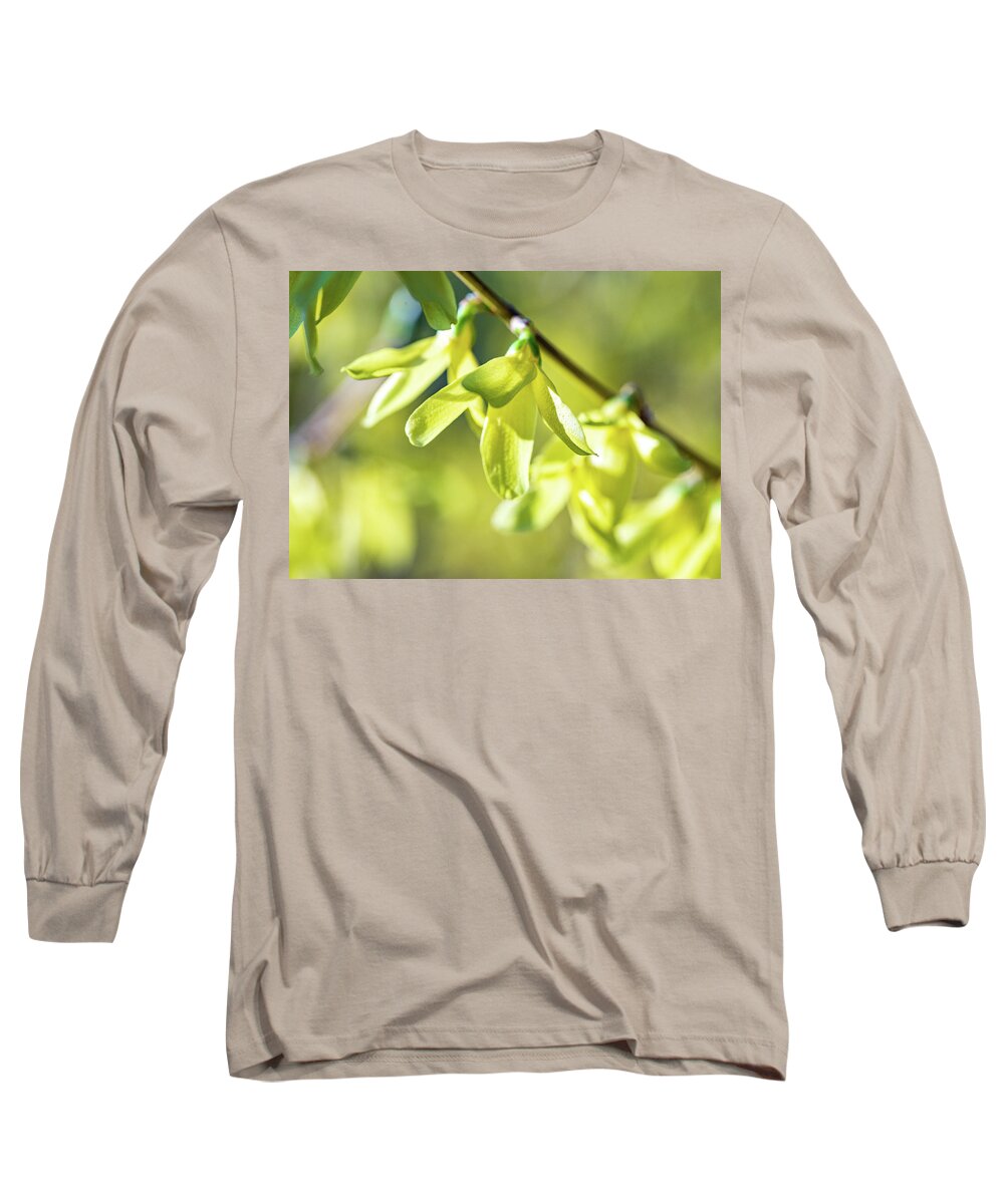 Flower Long Sleeve T-Shirt featuring the photograph Forsythia Branch by Amelia Pearn