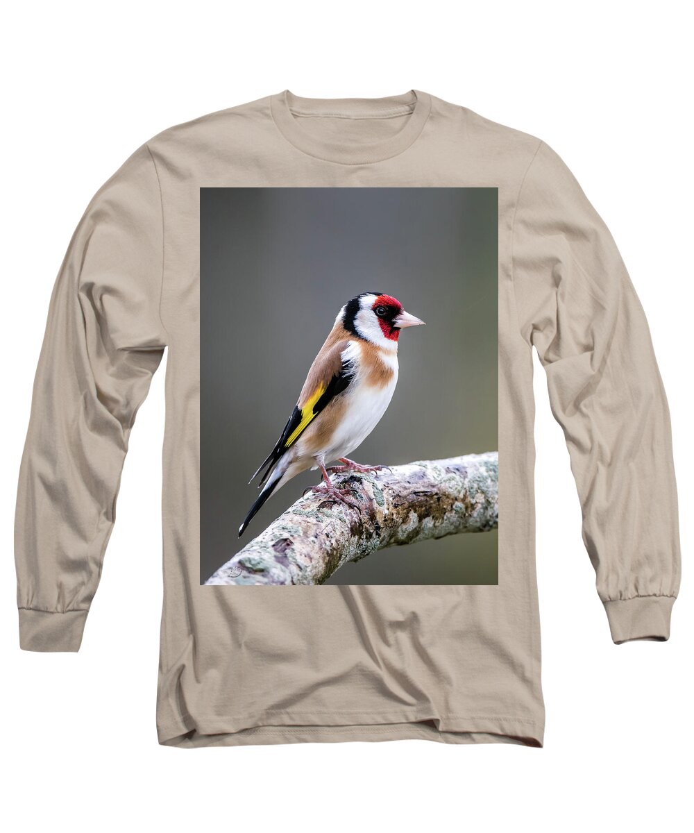Goldfinch Long Sleeve T-Shirt featuring the photograph Goldfinch perching on an oak branch by Torbjorn Swenelius