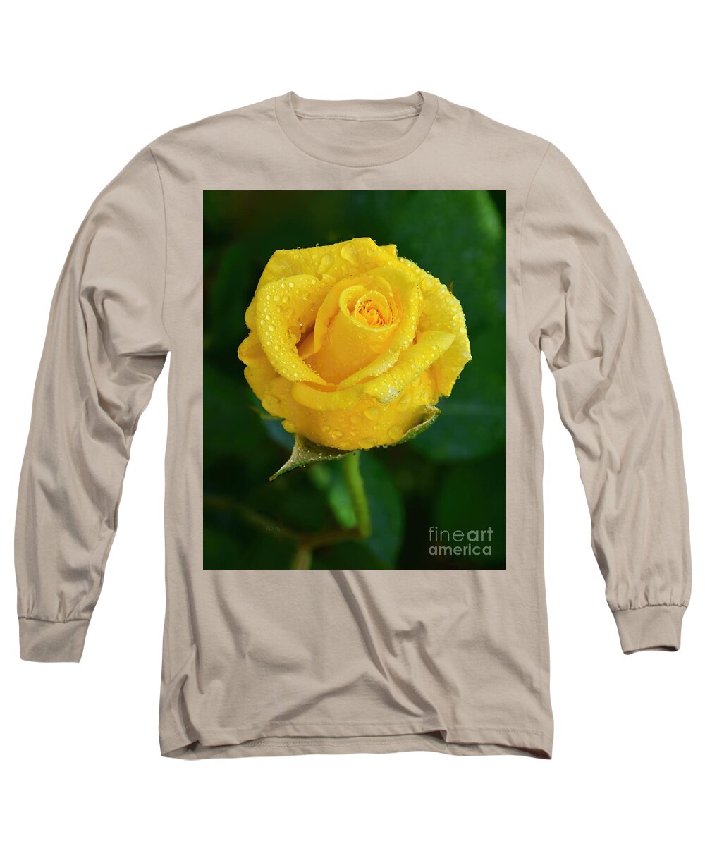 Gorgeous Misty Yellow Rose Long Sleeve T-Shirt featuring the photograph Gorgeous Misty Yellow Rose by Patrick Witz