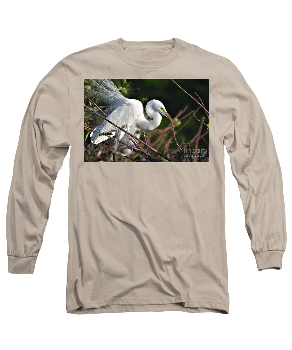 Great White Egret Long Sleeve T-Shirt featuring the photograph Great White Egret Feather Display by Julie Adair