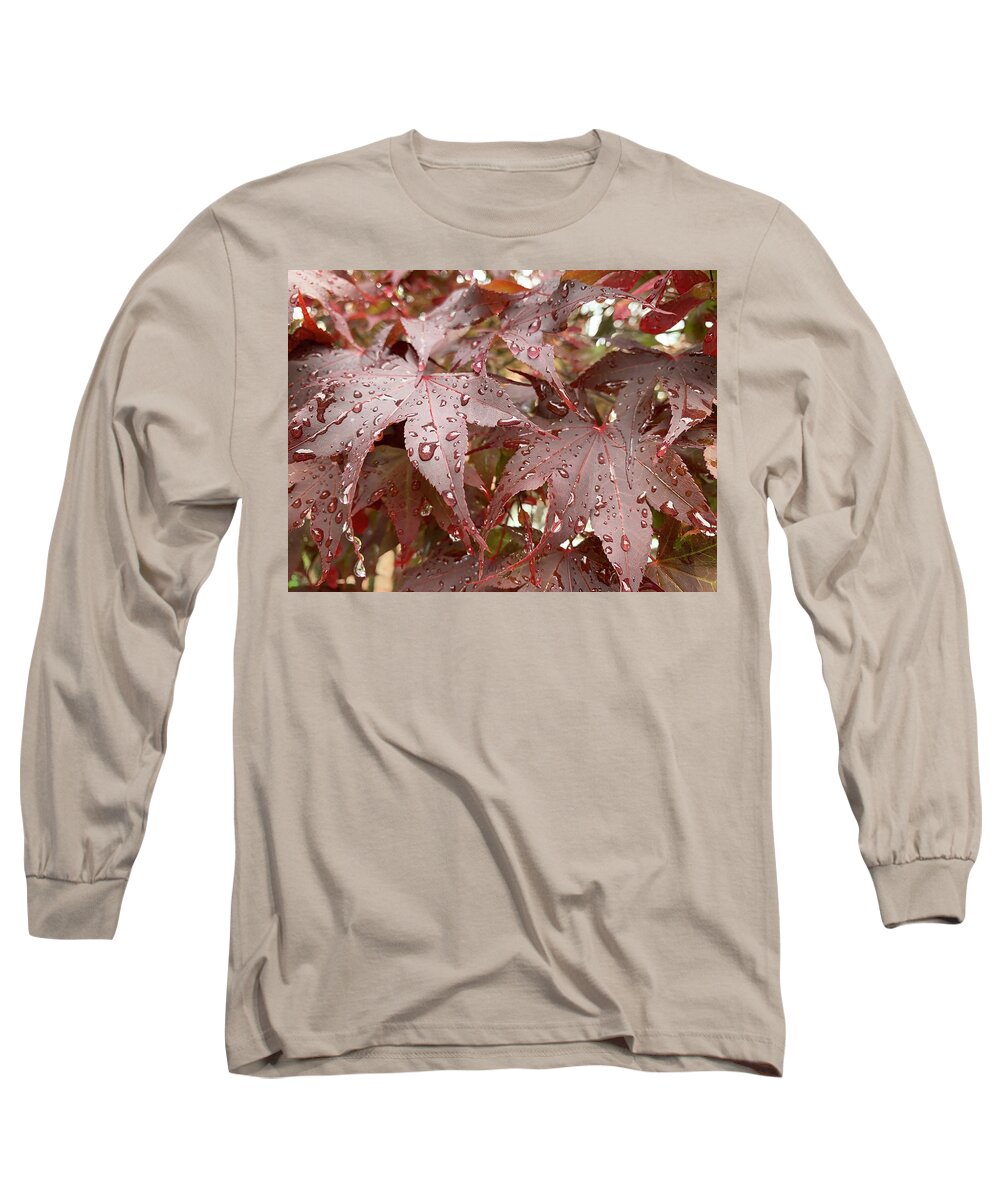 Leaf Long Sleeve T-Shirt featuring the photograph Happy Leaves by Lee Darnell