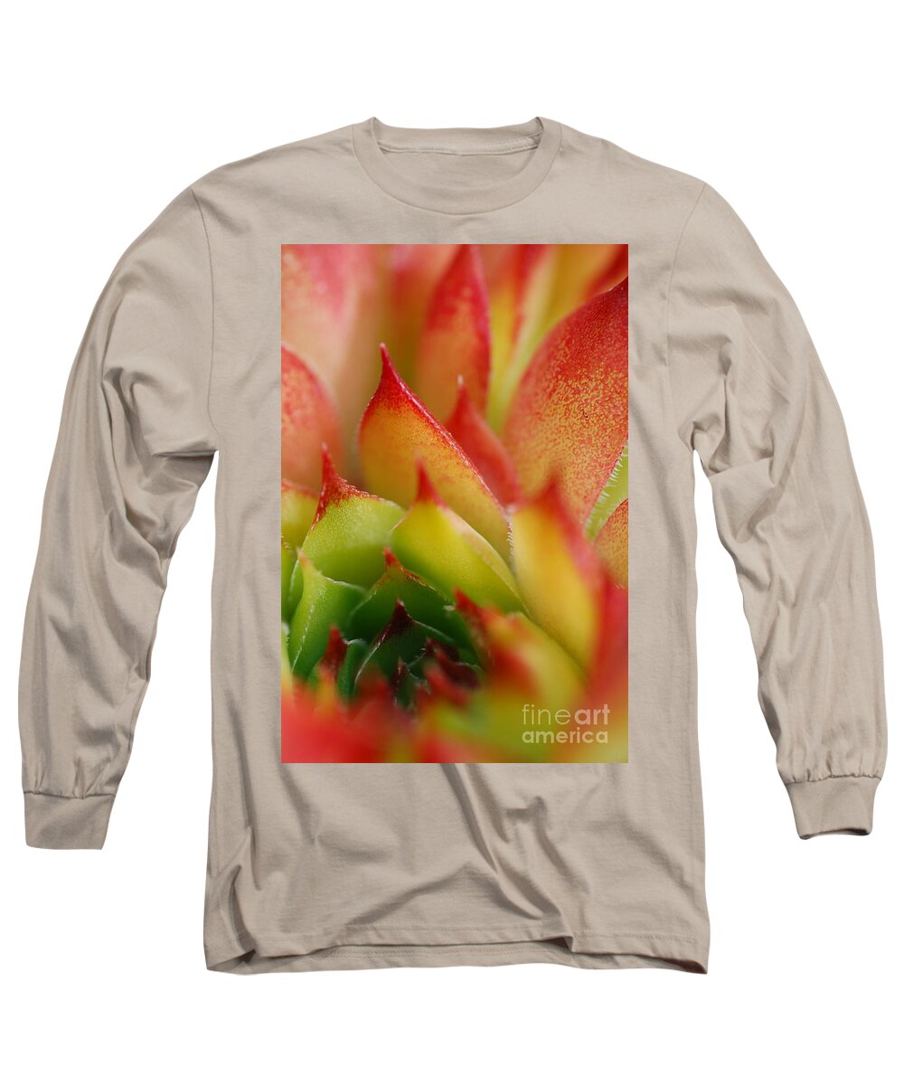 Hens And Chicks Long Sleeve T-Shirt featuring the photograph Hens And Chicks #2 by Stephanie Gambini