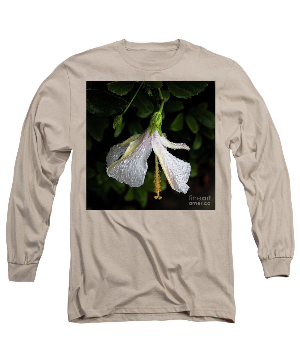 Hibiscus Long Sleeve T-Shirt featuring the photograph Hibiscus in the Rain by Neala McCarten