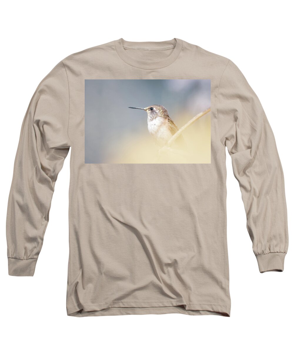 Hummingbird Long Sleeve T-Shirt featuring the photograph Hummingbird III by Julie Argyle