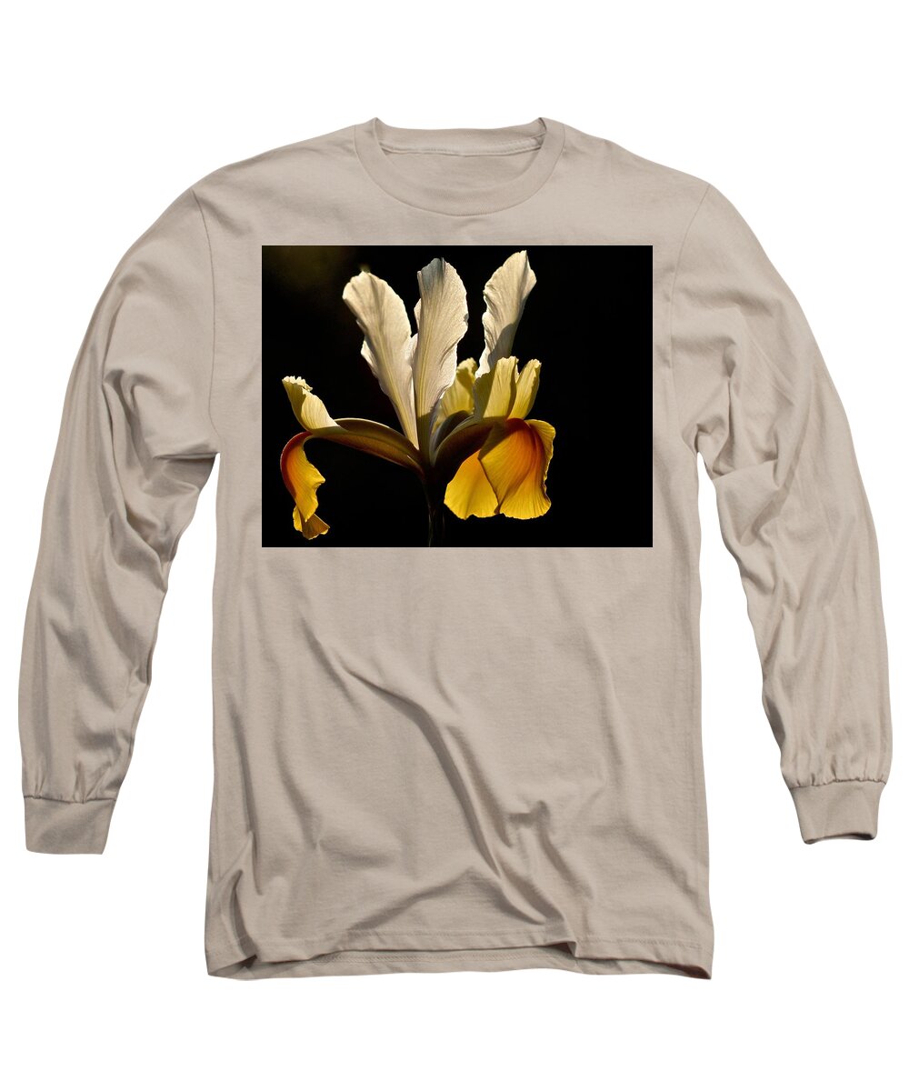 Iris Long Sleeve T-Shirt featuring the photograph Iris Hollandica No. 3 by Richard Cummings