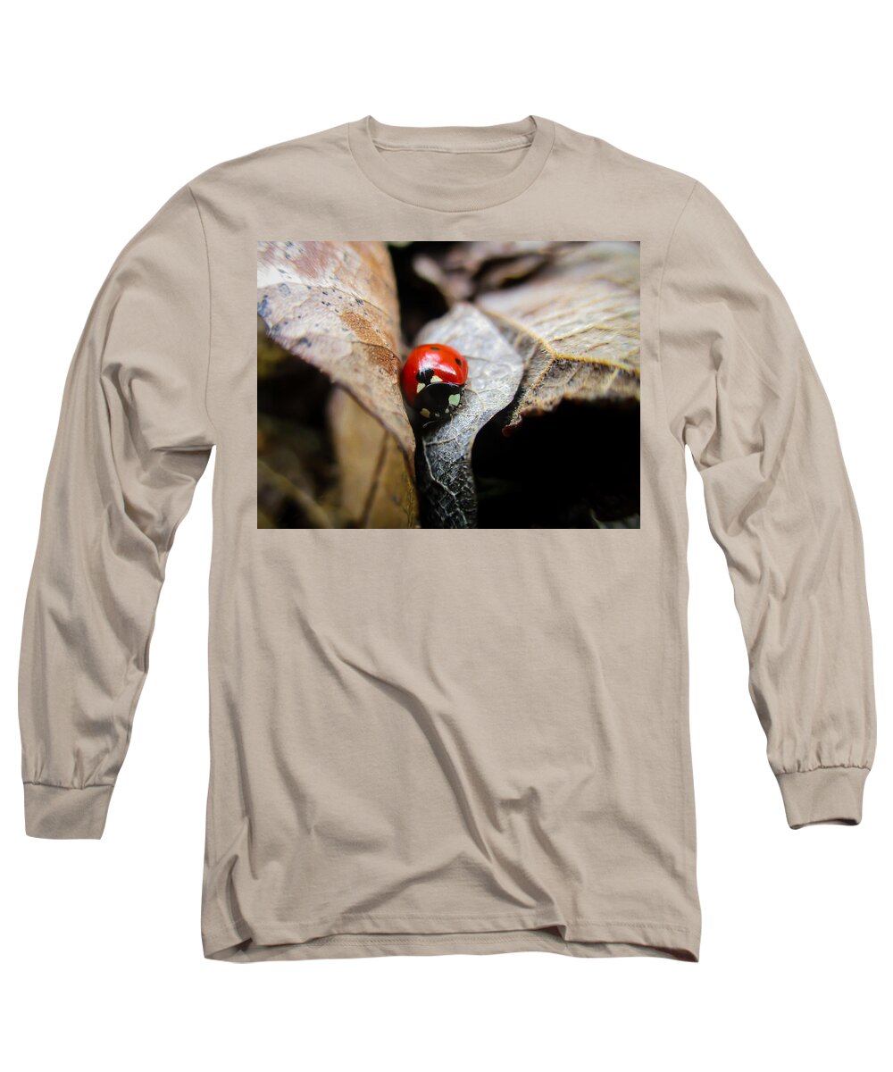 Coccinellidae Long Sleeve T-Shirt featuring the photograph Ladybug Among Leaves by W Craig Photography