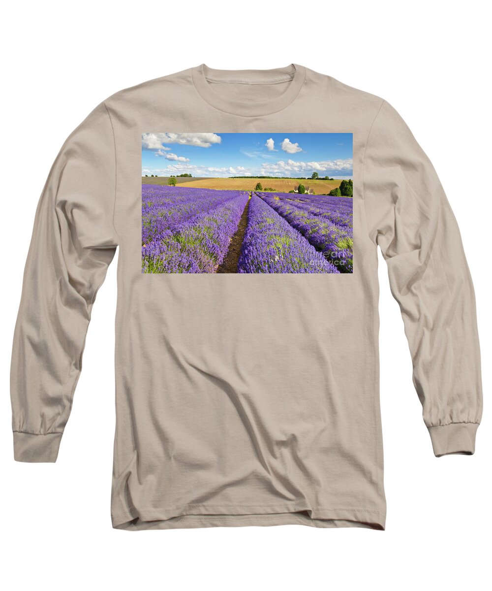 Lavender Fields Long Sleeve T-Shirt featuring the photograph Lavender rows at Snowshill Farm, The Cotswolds, England by Neale And Judith Clark