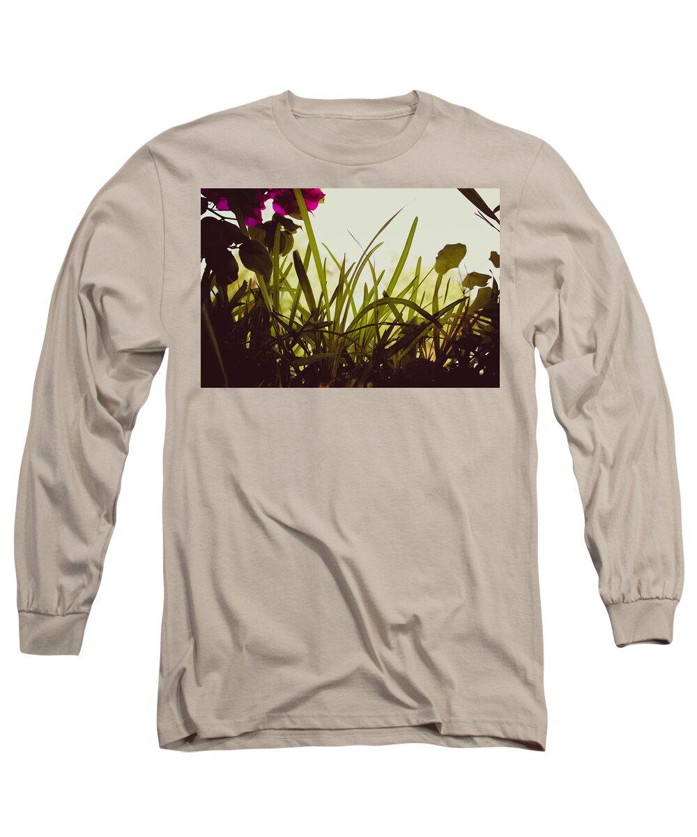 Grass Long Sleeve T-Shirt featuring the photograph Looking through the Grass by W Craig Photography