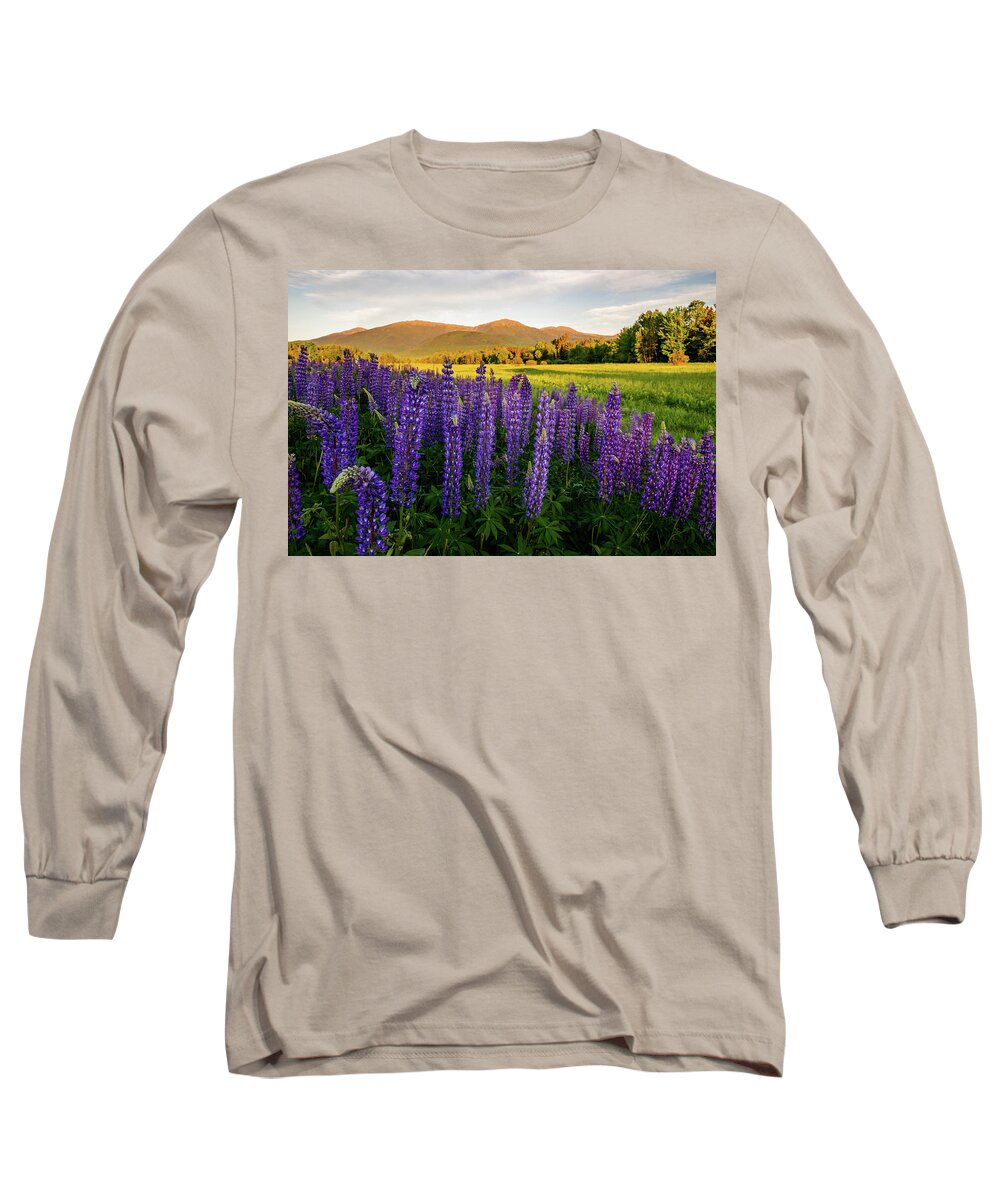 Lupine Long Sleeve T-Shirt featuring the photograph Lupines of the White Mountains in New Hampshire IV by William Dickman
