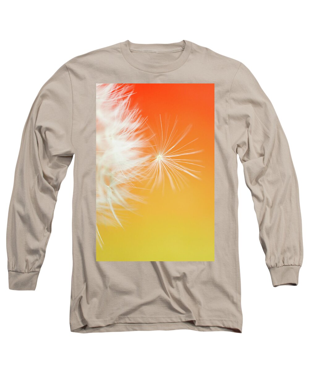 Ideas Long Sleeve T-Shirt featuring the photograph Make a Wish - on Orange and Yellow by Anita Nicholson