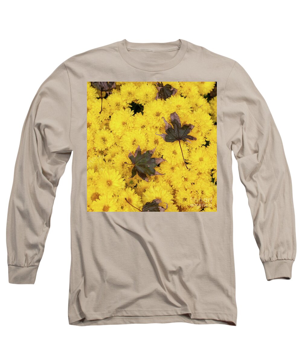 Autumn Long Sleeve T-Shirt featuring the photograph Maple Leaves on Chrysanthemum by William Kuta
