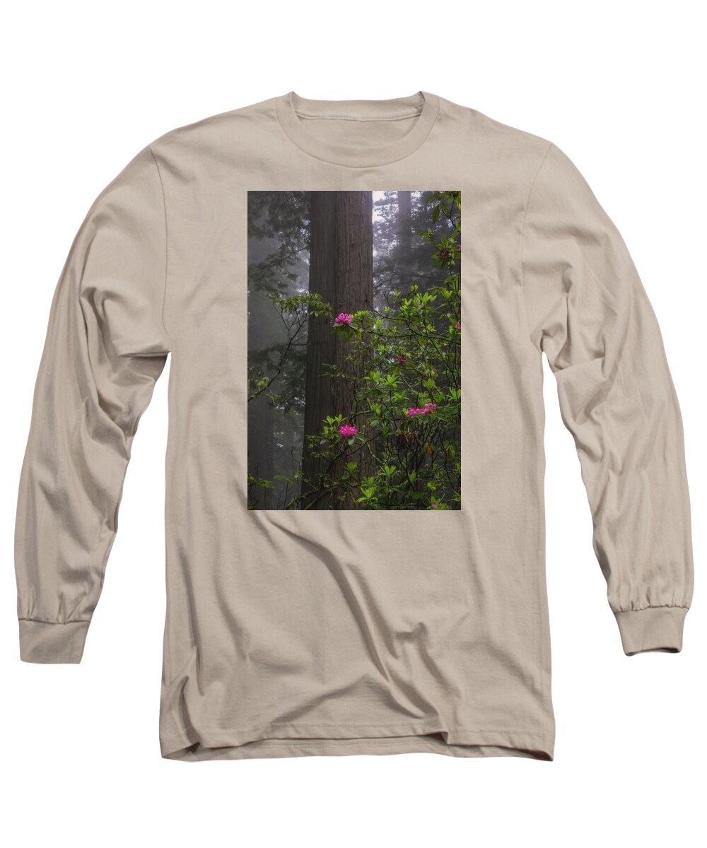 Botany Long Sleeve T-Shirt featuring the photograph A Pop of Pink by Jason Roberts