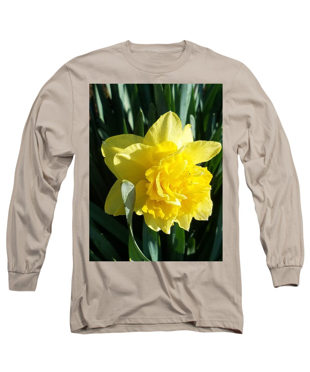 Flowers Long Sleeve T-Shirt featuring the photograph Morning Sun by Brent Knippel