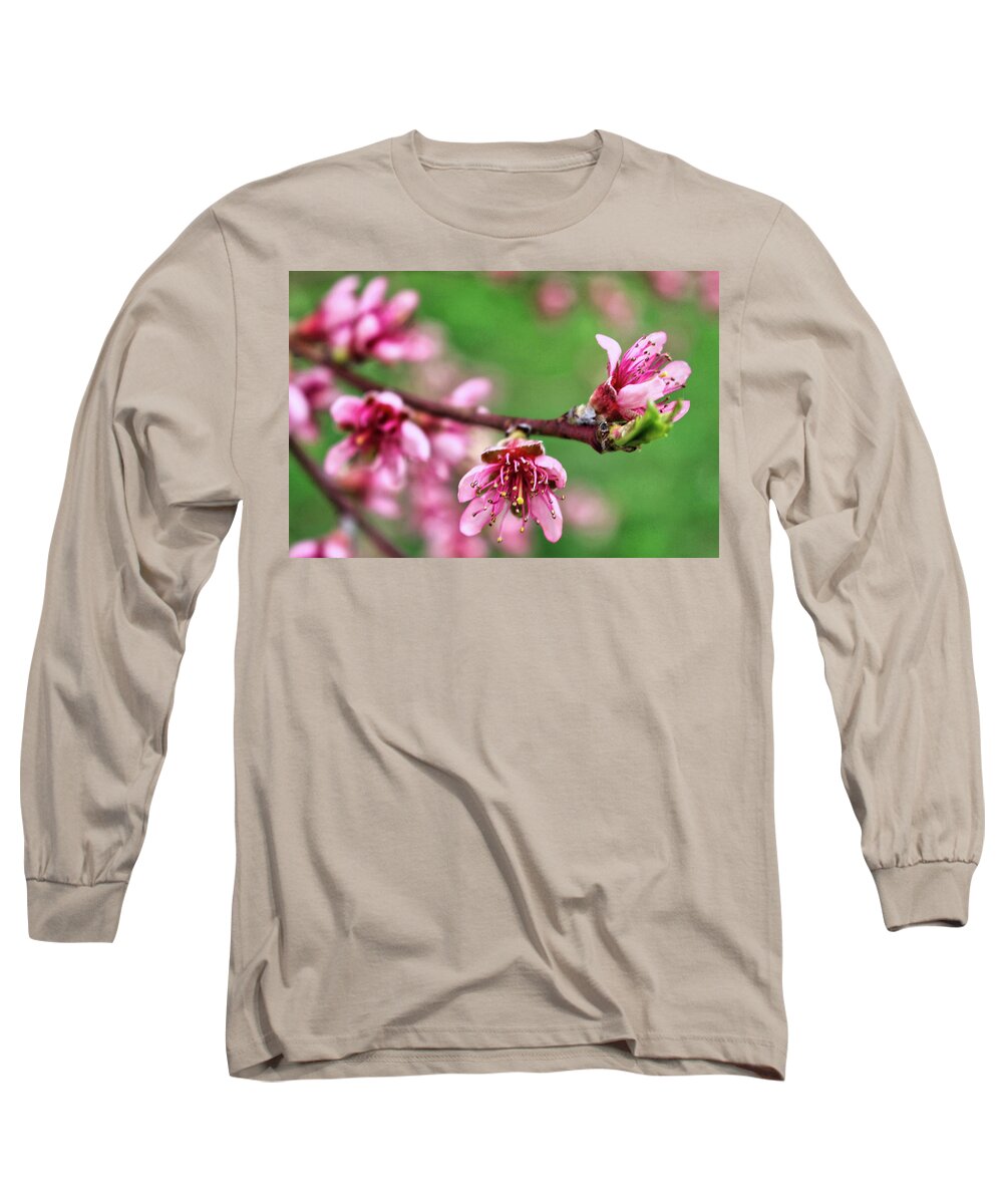 Newark Long Sleeve T-Shirt featuring the photograph Newark Cherry Blossom Series - 11 by Christopher Lotito